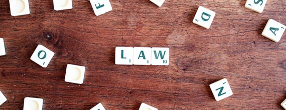 LAWS OF India- BABENDUDE